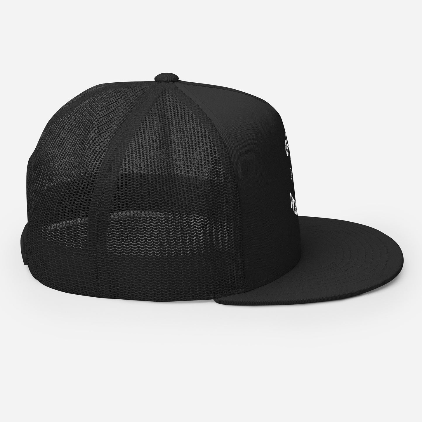 Go Cry in the Walk In FLAT BILL Hat